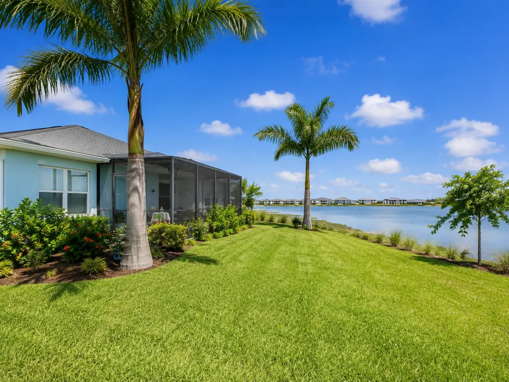 Green lawn and palms beside the water